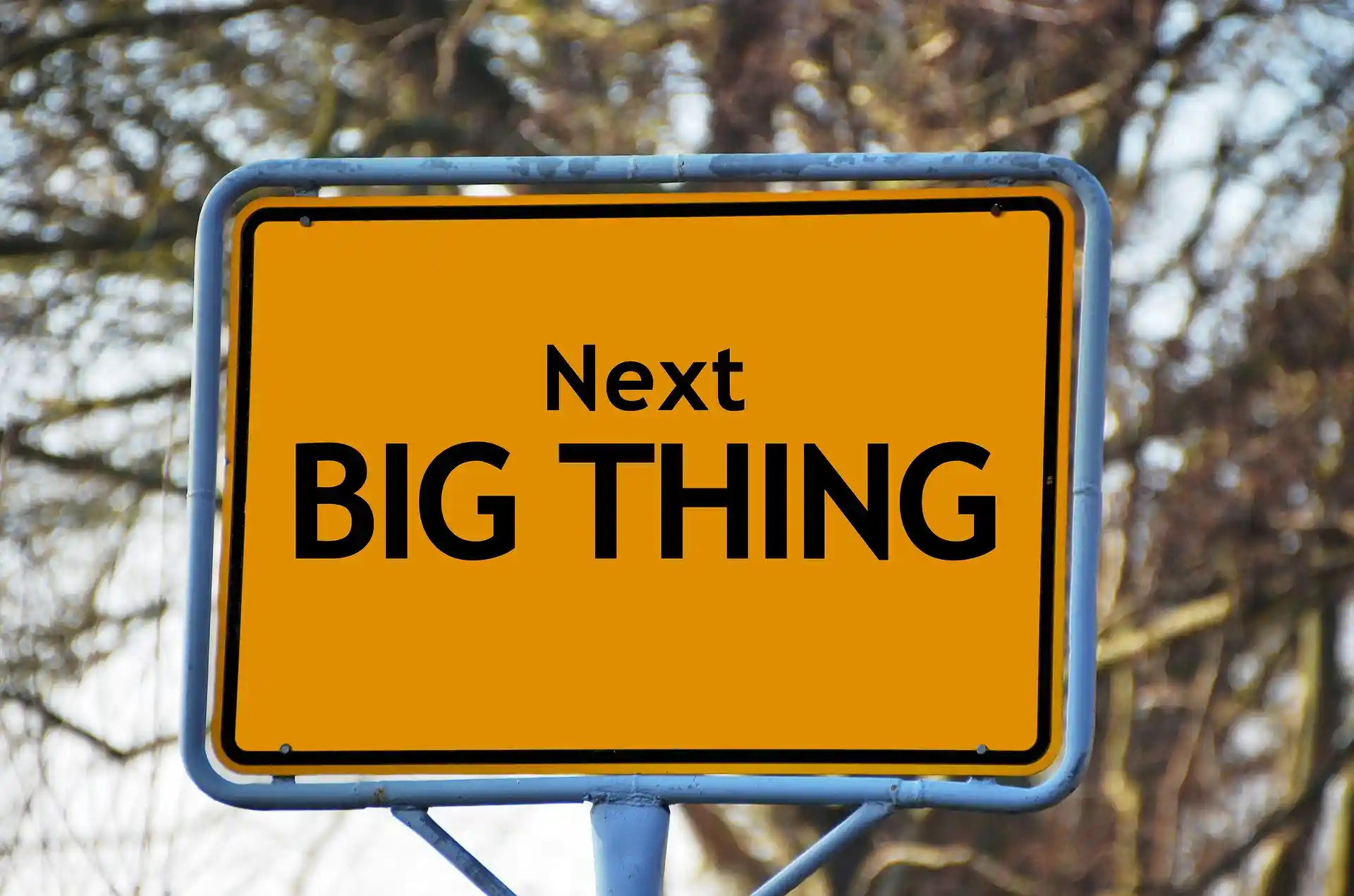 Image of a place name sign, yellow, blue metal frame, with black lettering spelling out "Next Big Thing". Image by Gerd Altmann from Pixabay.